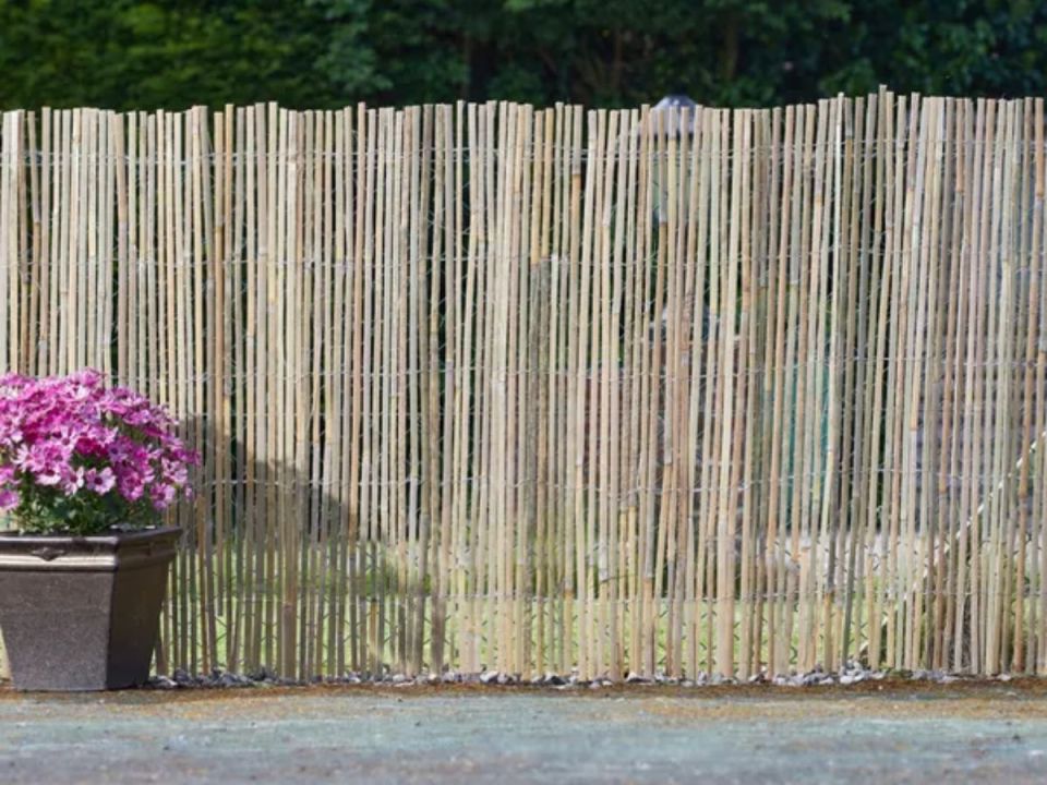A bamboo fence with a potted plant of purple flowers in front of it.