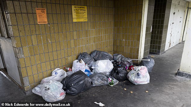 Piles of rubbish have been dumped in dingy corners of some of the blocks, which has attracted vermin