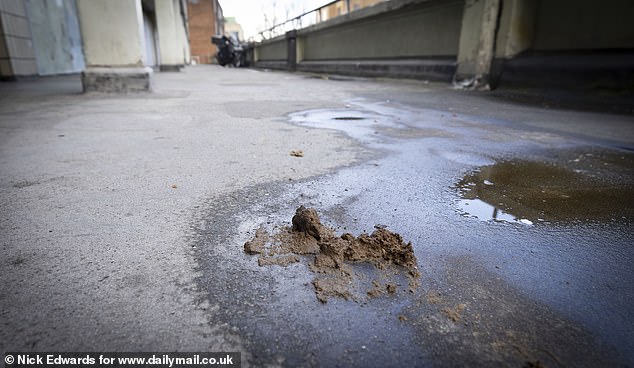 Excrement could be found on a number of the walkways on the outside of the blocks