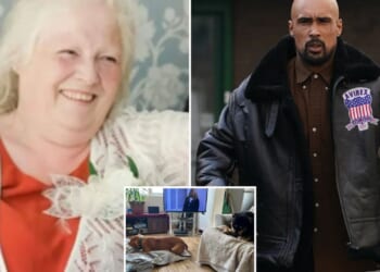 Rapper who left gran, 68, alone with TEN hulking XL bullies before she was mauled to death in bloodbath attack is jailed