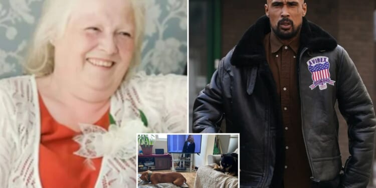 Rapper who left gran, 68, alone with TEN hulking XL bullies before she was mauled to death in bloodbath attack is jailed
