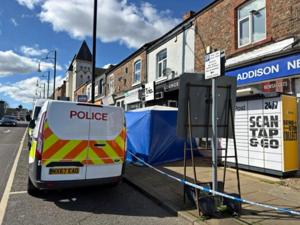 NINTCHDBPICT001070675242