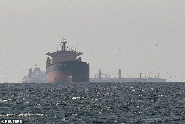 Cargo ships in the Gulf, near the Strait of Hormux, can be seen from Oman. President Donald Trump floated that US allies will be on their own getting ships through the Strait of Hormuz once the US's military strikes conclude