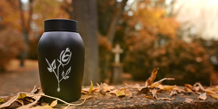 Mystery after urn with ashes inside handed in at train station and never claimed… as most bizarre lost property revealed