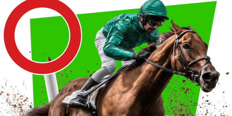 £20 off deals to Cheltenham, the Grand National and Royal Ascot with discount voucher code