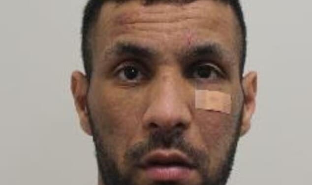 Enzo Conticello (pictured), also known as Hakim Boudjenoune and thought to be from Algeria originally, swiped Rosie Dawson's handbag on November 7, 2024