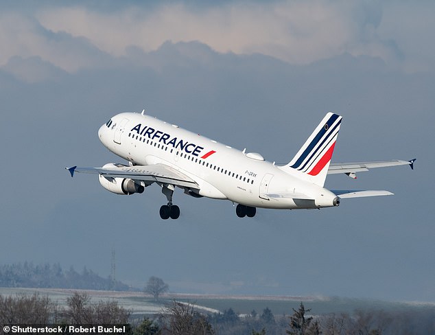Brace! Air France this week said it would raise economy class fares for short haul destinations by 50 euros (£43) to reflect rocketing jet fuel prices
