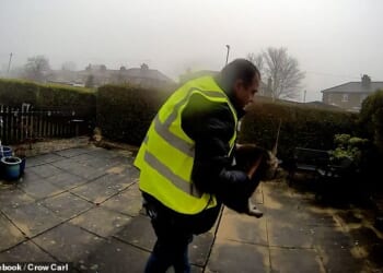 Carl Stancu was caught on the Ring doorbell footage brazenly stealing the cat while making deliveries