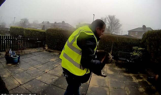 Carl Stancu was caught on the Ring doorbell footage brazenly stealing the cat while making deliveries