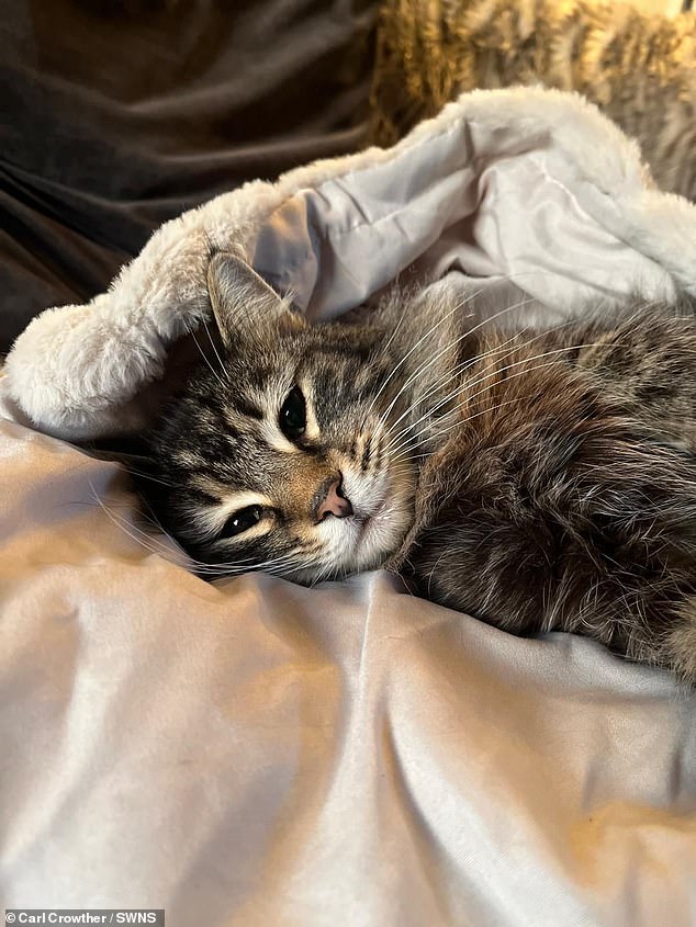 Mr Crowther and his family were very worried after their cat Nora was seen being picked up and taken by the delivery driver