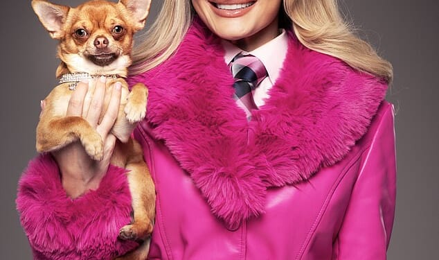 Love Island and Strictly star Amber Davies was forced to pull out of a performance of Legally Blonde the musical mid-show after falling ill