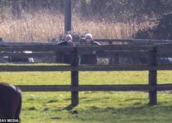 Andrew Mountbatten-Windsor inspects horses near his home in Norfolk yesterday
