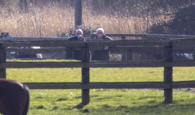 Andrew Mountbatten-Windsor inspects horses near his home in Norfolk yesterday