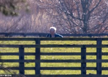 Andrew Mountbatten-Windsor yesterday broke cover for the first time since his arrest as he took a solo dog walk around Sandringham