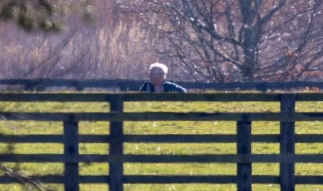 Andrew Mountbatten-Windsor yesterday broke cover for the first time since his arrest as he took a solo dog walk around Sandringham