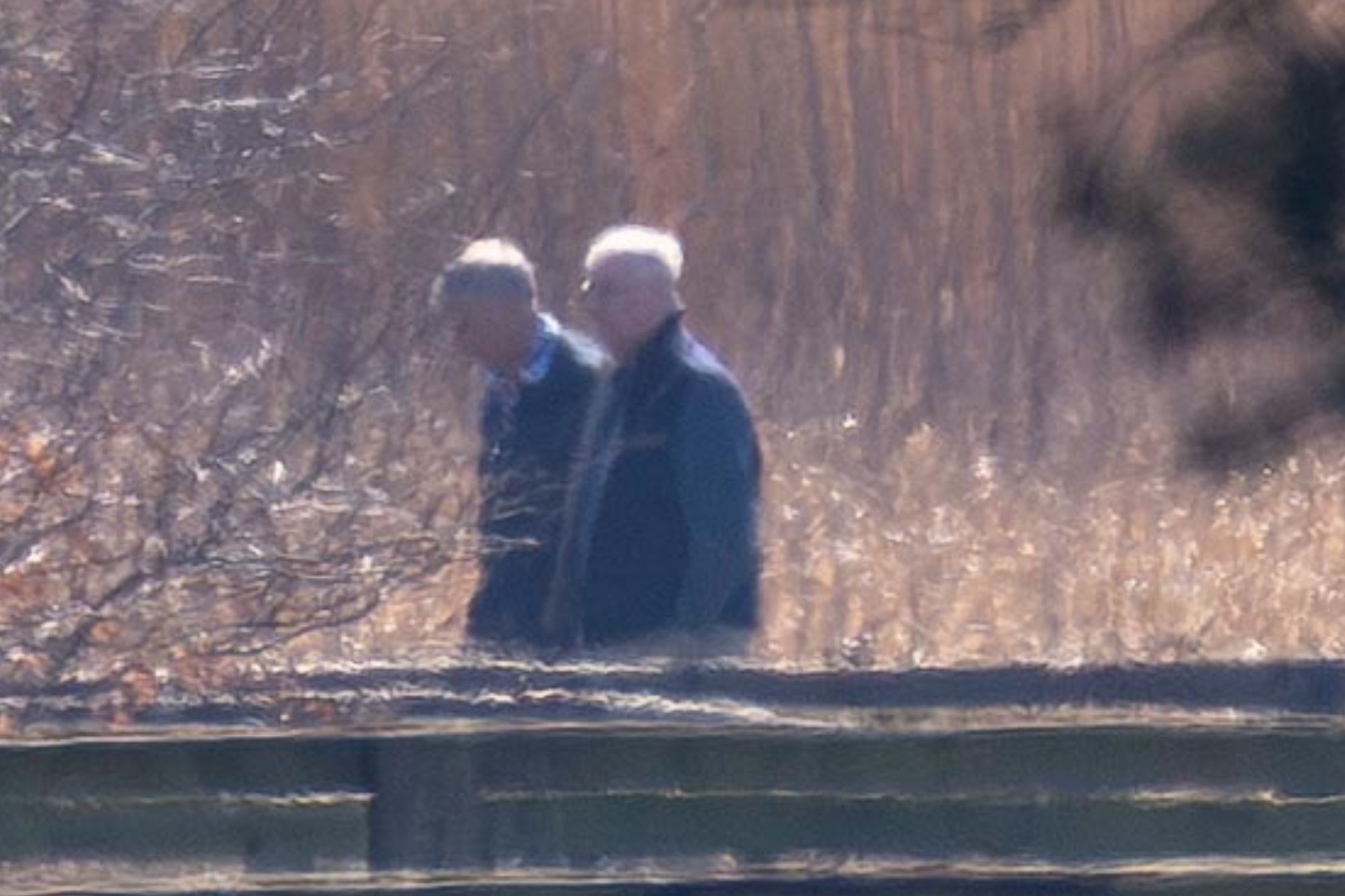 An image collage containing 1 images, Image 1 shows Andrew Mountbatten Windsor walking his dogs with his bodyguard in the countryside near Wood Farm in Wolferton, Norfolk