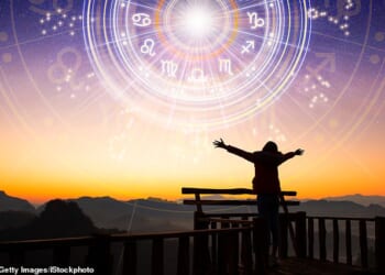 We cannot influence the world at large, we can only try to keep sane amid the chaos, says Jemima Cainer