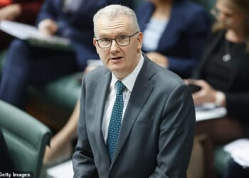 Tony Burke (pictured) revealed that the safe house for Iranian players was compromised