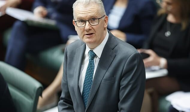 Tony Burke (pictured) revealed that the safe house for Iranian players was compromised