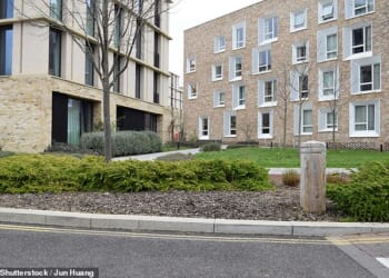 There are many pitfalls to leasehold flats, including rising service charges, ground rents, alongside the very fact that the lease is ticking down
