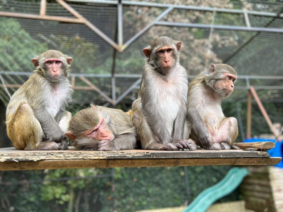 NINTCHDBPICT001069511145