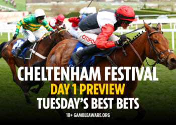 Best bets & tips (2026)