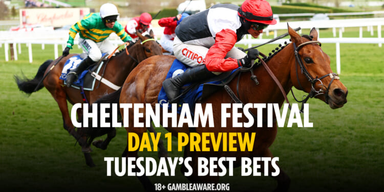 Best bets & tips (2026)