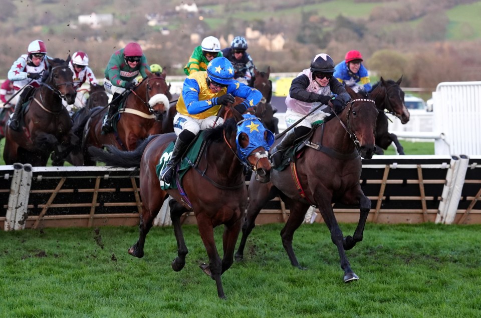 Air Of Entitlement, ridden by Patrick M O'Brien, winning the Martin Pipe Conditional Jockeys' Handicap Hurdle.