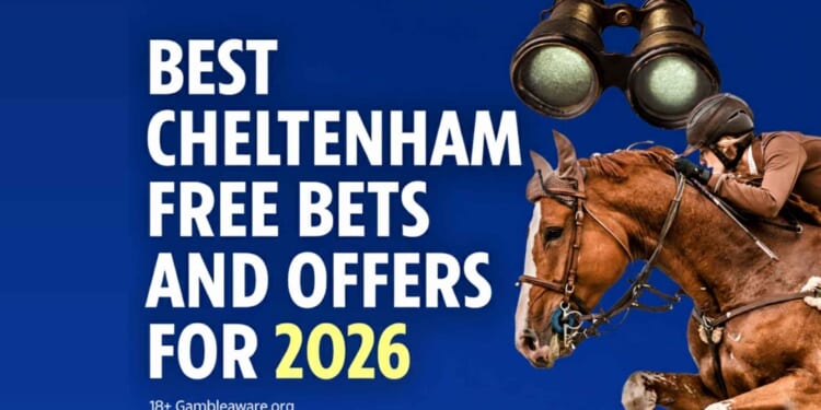 Betting offers for the festival (2026)
