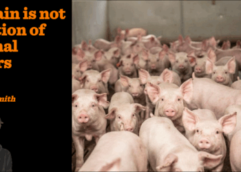 Britain is not a nation of animal lovers | Ben Sixsmith