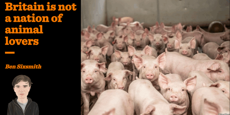 Britain is not a nation of animal lovers | Ben Sixsmith