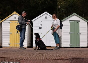 A dog waits for a drink of water from a bottle during a walk along Paignton in Devon today