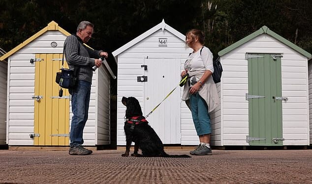 A dog waits for a drink of water from a bottle during a walk along Paignton in Devon today