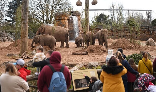 Chester Zoo is behind a campaign to change how forecasts are displayed on weather apps