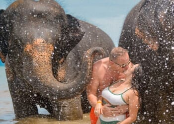 Harald Undrum, 53, and his wife Judith Mazariegos, 26, tragically died in the plane crash