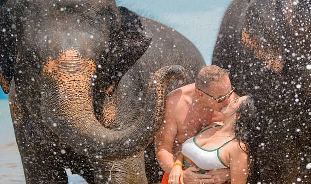 Harald Undrum, 53, and his wife Judith Mazariegos, 26, tragically died in the plane crash