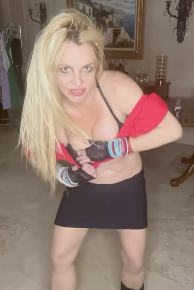 According to the CHP release, police got a call about a black BMW 430i that was driving erratically at high speeds, and they subsequently were able to catch up to her vehicle