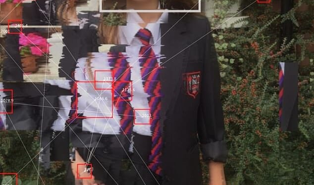 Molly Russell (pictured) in Molly vs the Machines. The teenager died by suicide in 2017