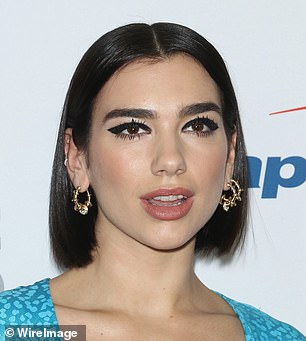 Dua Lipa's brows in 2018