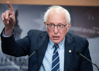 Capitalism Has Its Uses—Bernie Says So