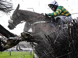 Cheltenham Festival LIVE: Tips and results from Ladies Day as L'Eau Du Sud and Majborough star in Champion Chase