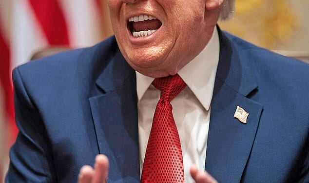 The Royal Navy has been forced to borrow a German frigate after 'running out of ships' ¿ as Donald Trump (pictured on February 28) mocked Britain's aircraft carriers as 'toys'