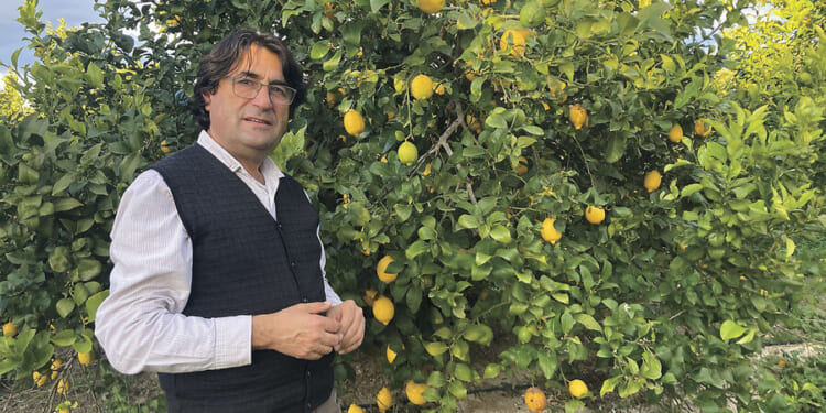 Citing economic need, Spain moves to accept migrants