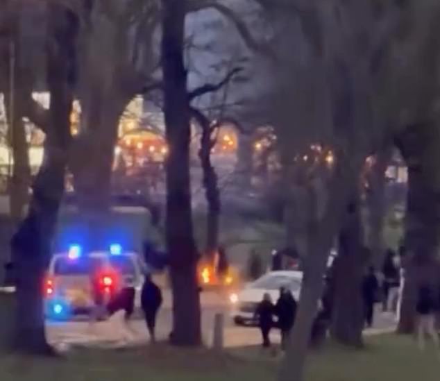 Fires could be spotted burning on the fields of Clapham Common as police swooped in to put them out, sending smoke billowing into the air