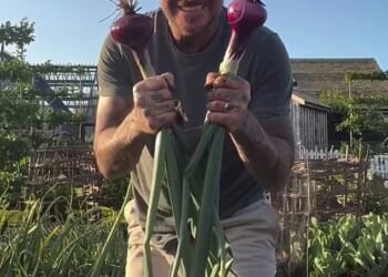 Sir David Beckham has become known for his green fingers ¿ so much so that he will host a garden at this year¿s prestigious Chelsea Flower Show