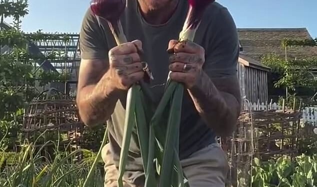 Sir David Beckham has become known for his green fingers ¿ so much so that he will host a garden at this year¿s prestigious Chelsea Flower Show