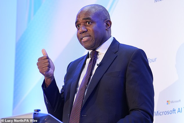 Deputy Prime Minister and Justice Secretary David Lammy delivers a keynote speech on reforming the justice system last month