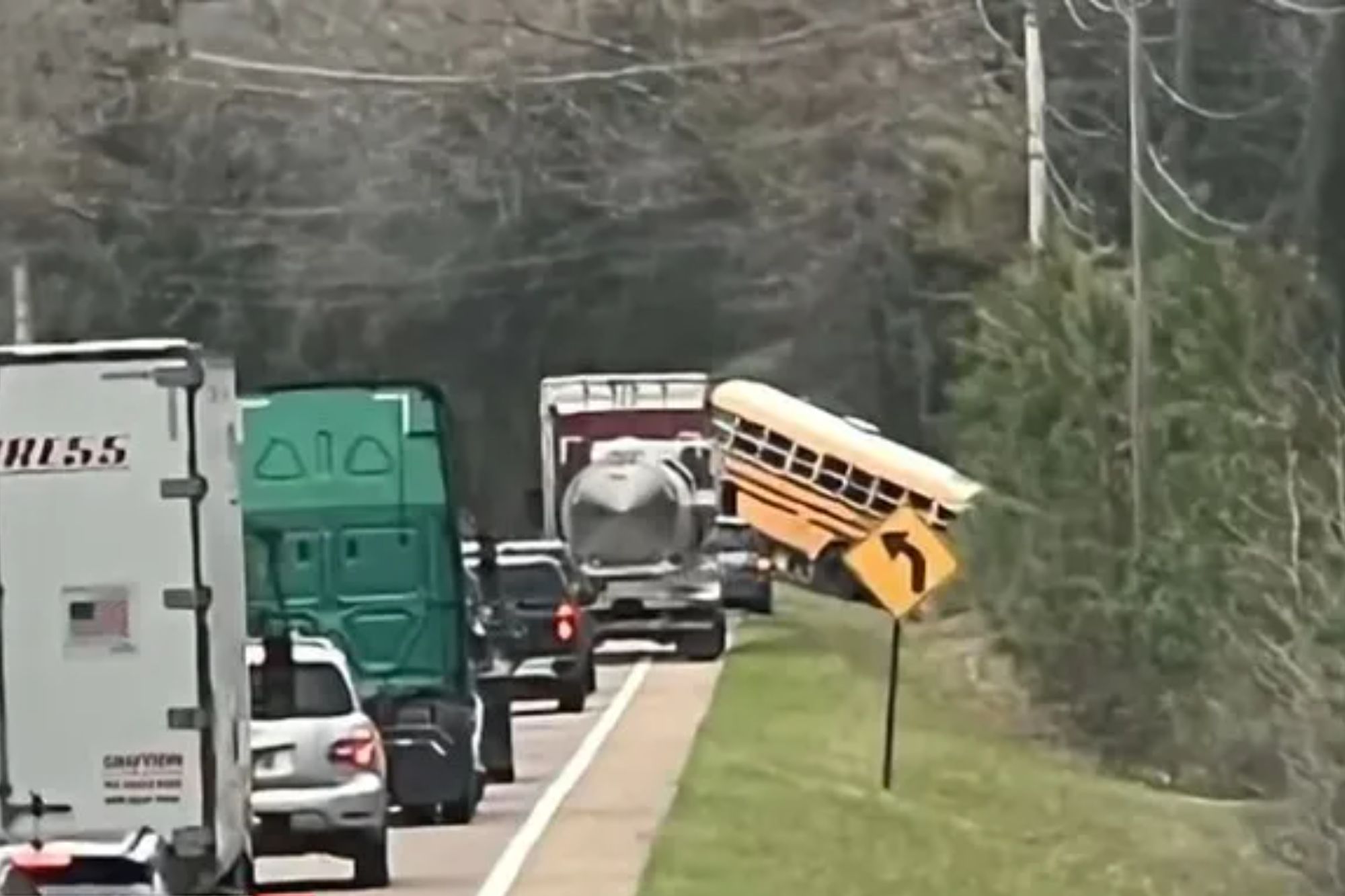 NINTCHDBPICT001069963902