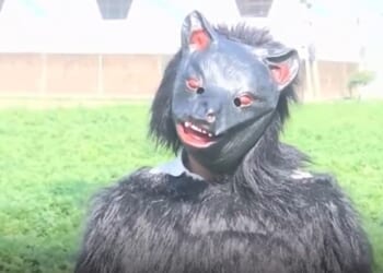 Farmers have begun to dress as bears in India to scare off potato-eating monkeys