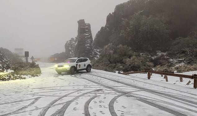 Tenerife has been plunged into chaos after an emergency was declared across the Canary Islands as Storm Therese batters the holiday hotspot with torrential rain, fierce winds and even snow